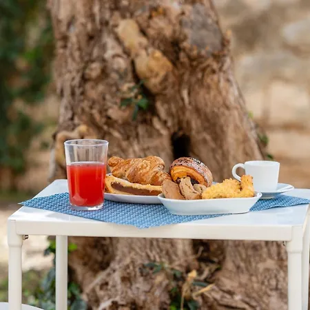 Mediterranee מודיקה